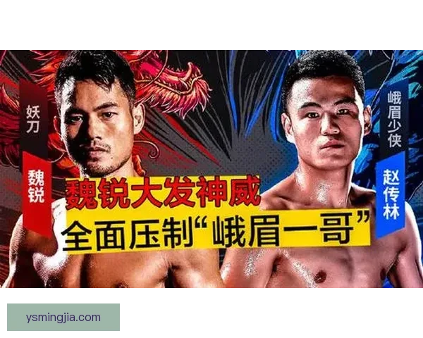 少林拳与泰拳全面对比解析技法流派与实战优势